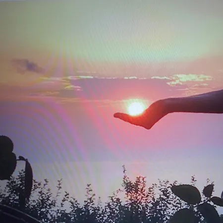 Apartament Timeless *