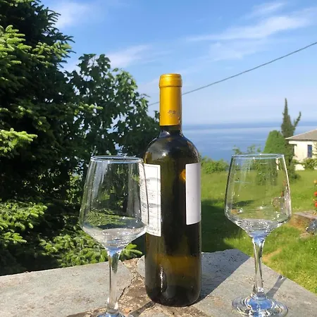 Timeless * Mourésion